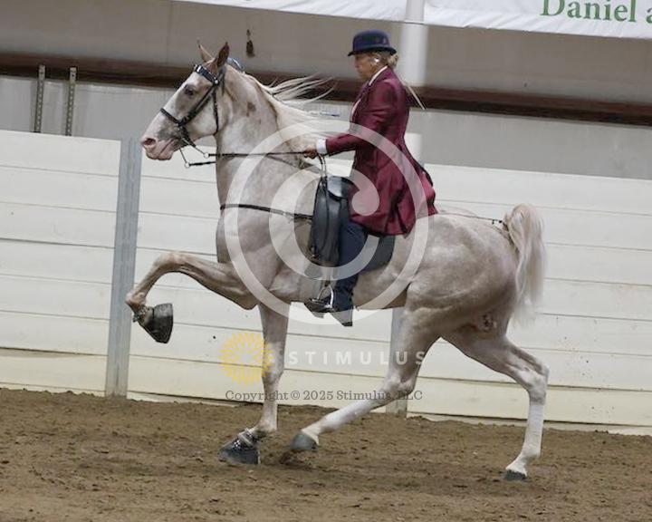 21. 2 Year Old Walking Amateur:low-res0000s0011IMG0381.jpg
