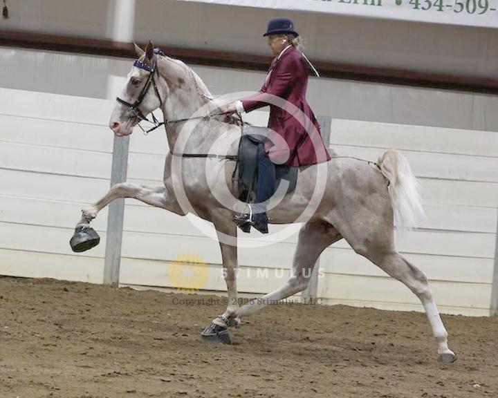 21. 2 Year Old Walking Amateur:low-res0000s0012IMG0379.jpg