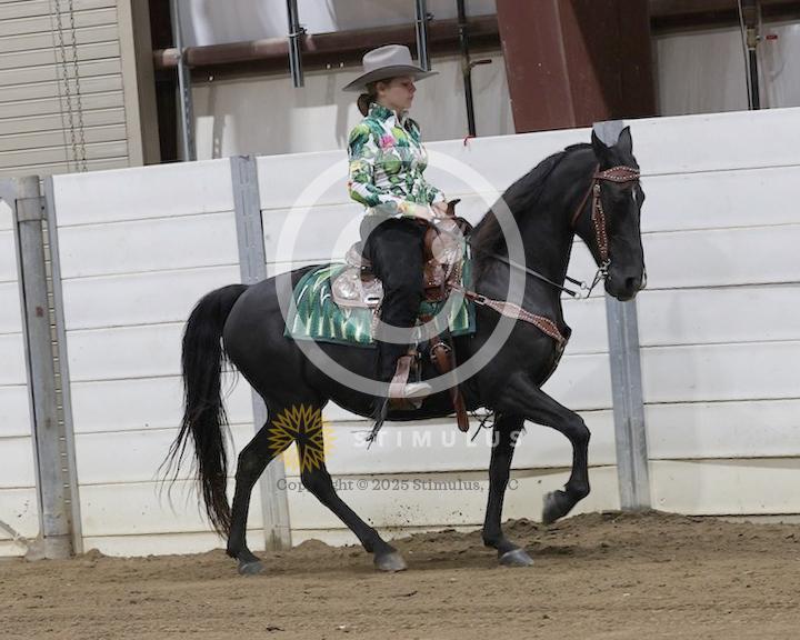 23. Amateur 5 and Under Park Pleasure:class23-low-res0018s0004IMG0439.jpg