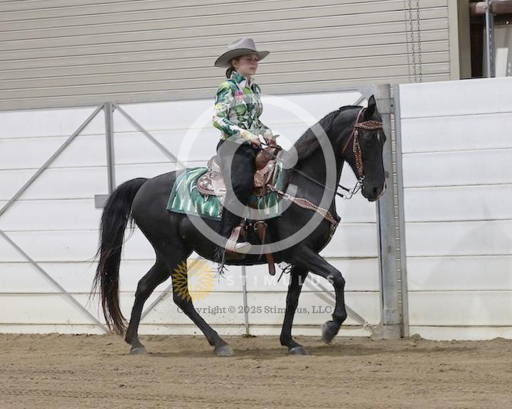 23. Amateur 5 and Under Park Pleasure:class23-low-res0018s0005IMG0437.jpg