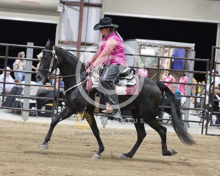 26. Country Pleasure Walking Amateur:class-26low-res0015s0003IMG0521.jpg