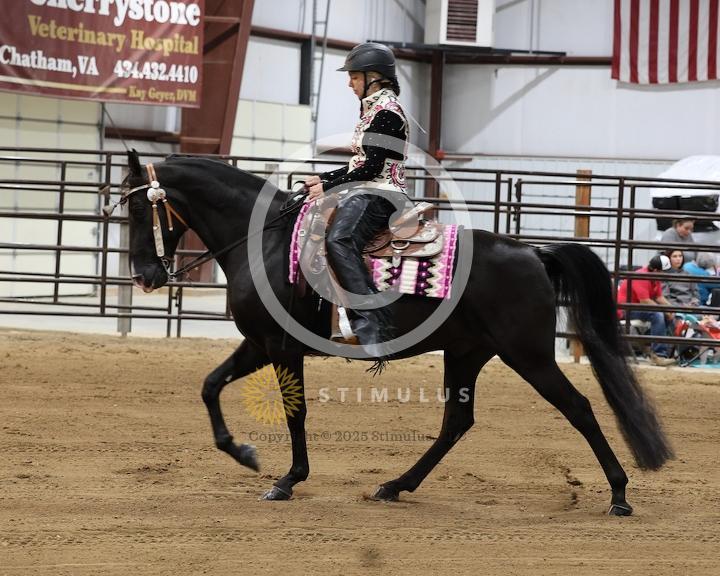 26. Country Pleasure Walking Amateur:class-26low-res0015s0005IMG0514.jpg