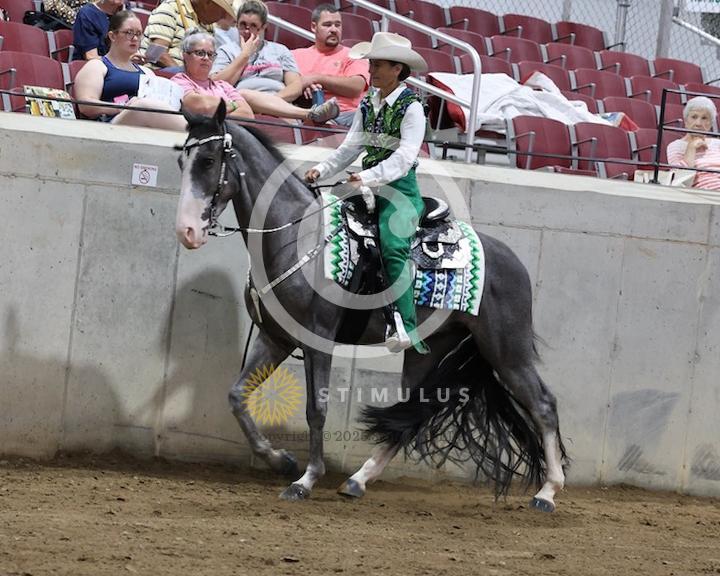 26. Country Pleasure Walking Amateur:class-26low-res0015s0007IMG0498.jpg