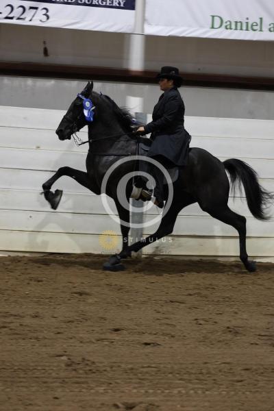 28. Keg Shod Trail Pleasure Racking E/W:IMG0615.jpeg