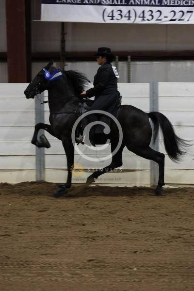 28. Keg Shod Trail Pleasure Racking E/W:IMG0619.jpeg