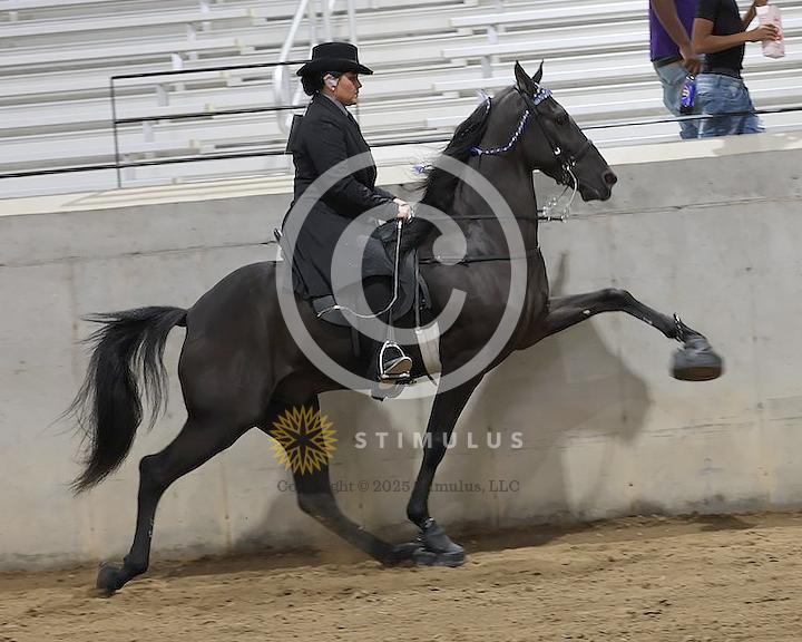 29. Specialty Action Racking  Amateur:Class-290012s0002IMG0574.jpg