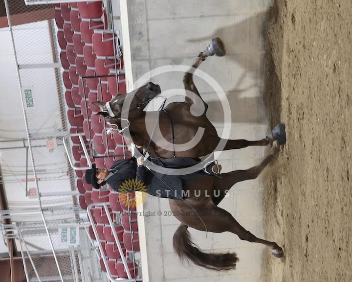 30. Amateur Walking Show Pleasure