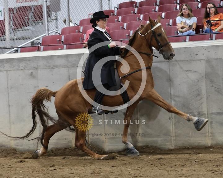 30. Amateur Walking Show Pleasure:low-res0011s0004IMG0678.jpg