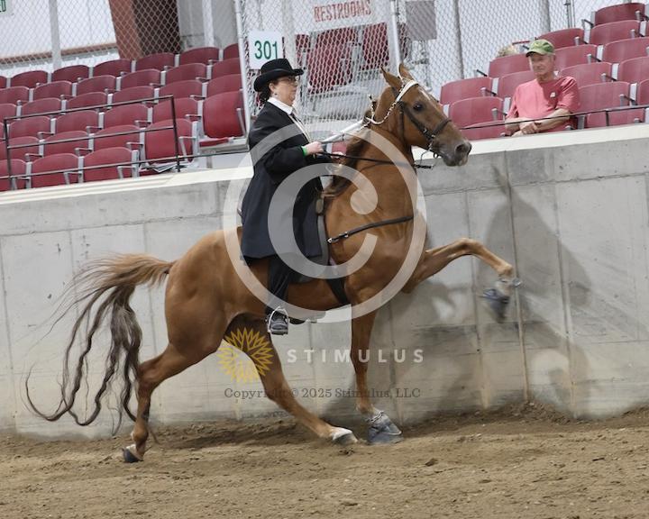 30. Amateur Walking Show Pleasure:low-res0011s0005IMG0675.jpg