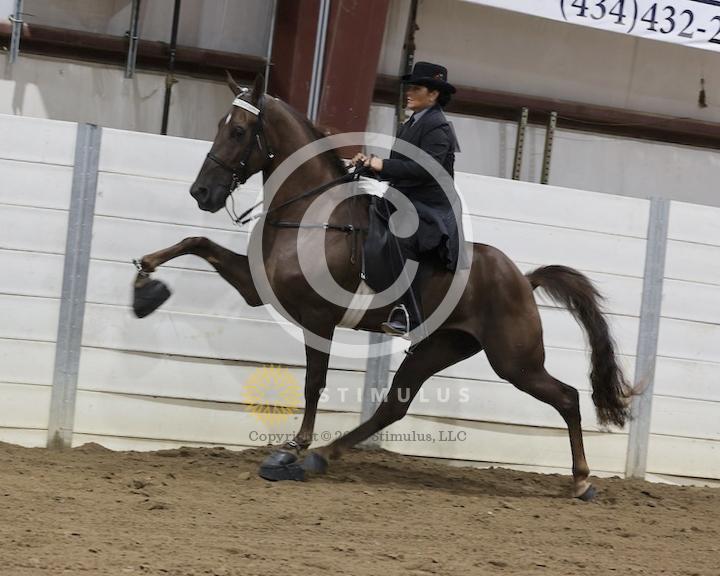 30. Amateur Walking Show Pleasure:low-res0011s0007IMG0668.jpg