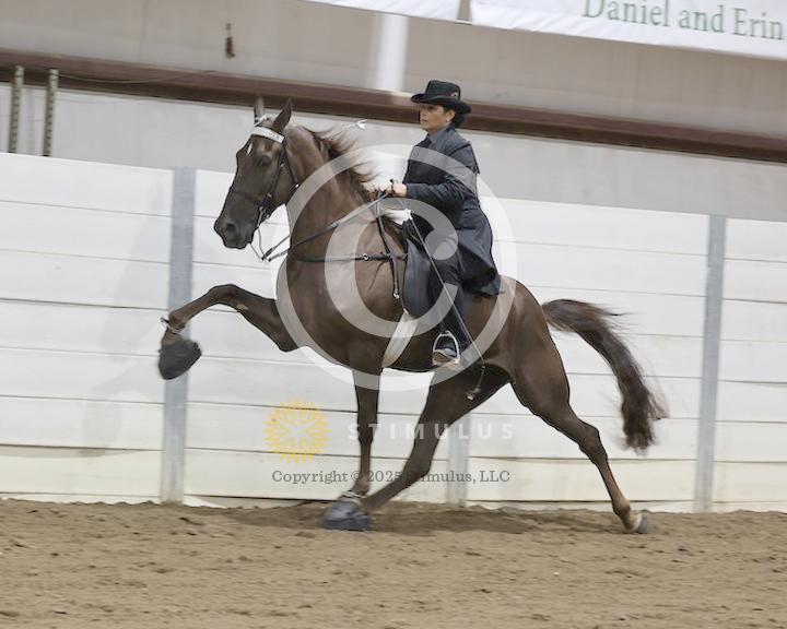 30. Amateur Walking Show Pleasure:low-res0011s0008IMG0665.jpg