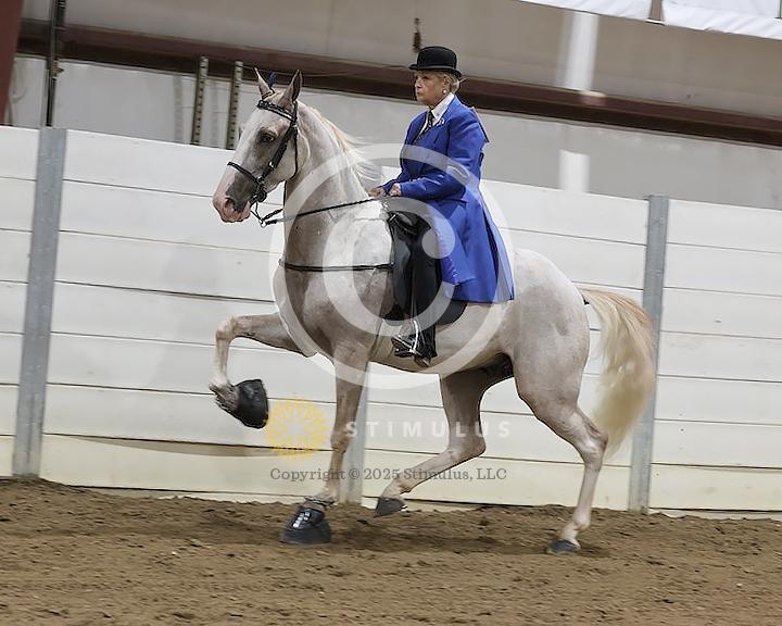 30. Amateur Walking Show Pleasure:low-res0011s0009IMG0656.jpg