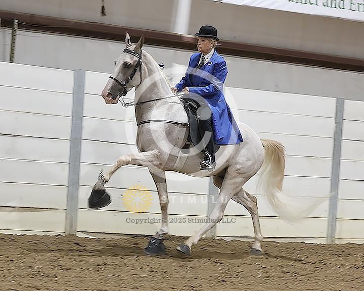 30. Amateur Walking Show Pleasure:low-res0011s0010IMG0654.jpg