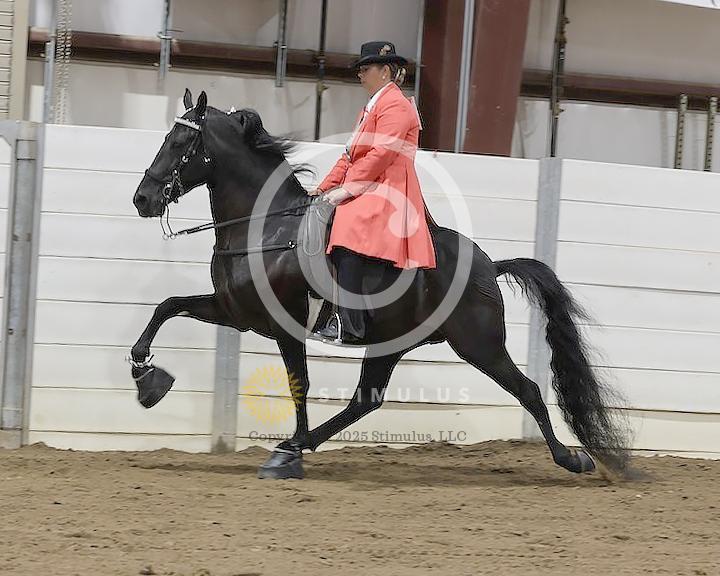 30. Amateur Walking Show Pleasure:low-res0011s0011IMG0644.jpg