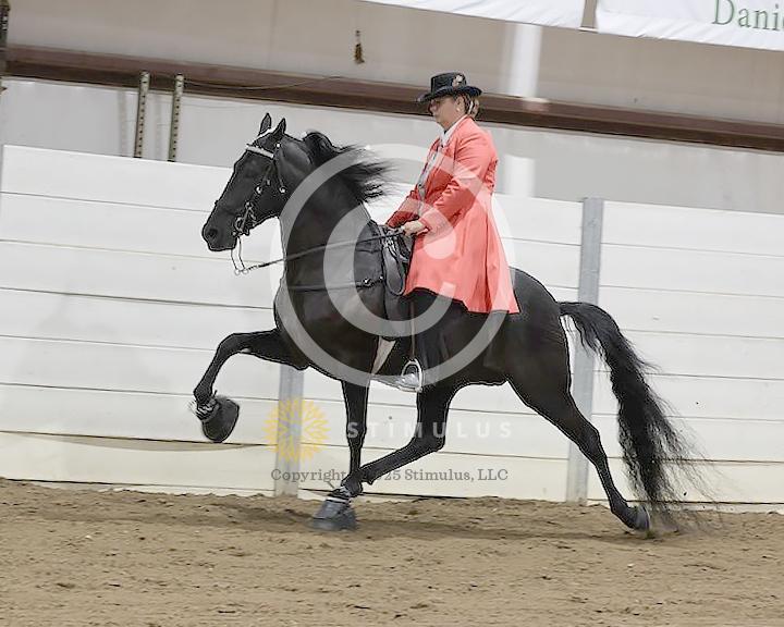 30. Amateur Walking Show Pleasure:low-res0011s0012IMG0639.jpg