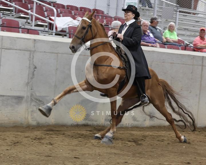 30. Amateur Walking Show Pleasure:low-res0011s0013IMG0632.jpg