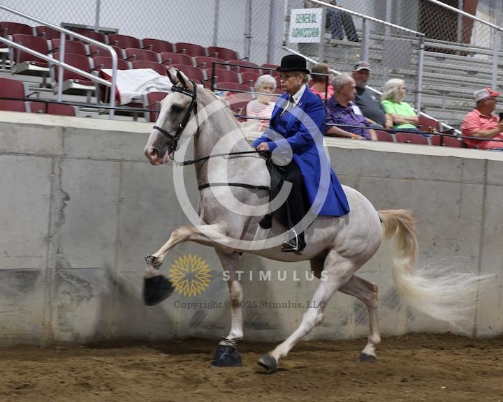 30. Amateur Walking Show Pleasure:low-res0011s0014IMG0625.jpg