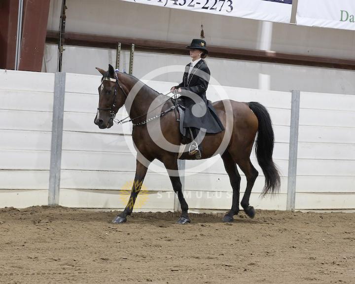 31. VWRHOA Member Only Pleasure Amateur E/W:copclass310010s0007IMG0740.jpg