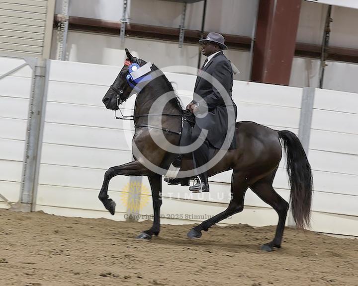 33. Lite Shod Walking E/W Amateur