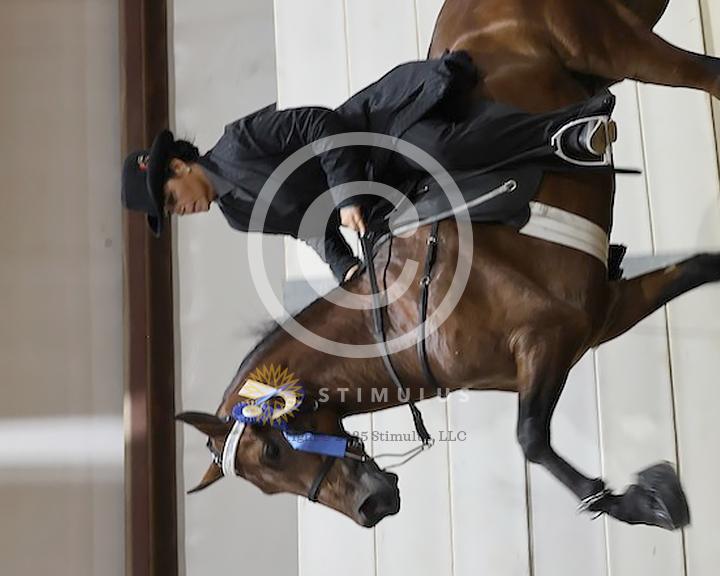 36. Specialty Action Device 2 and 3 Year Old