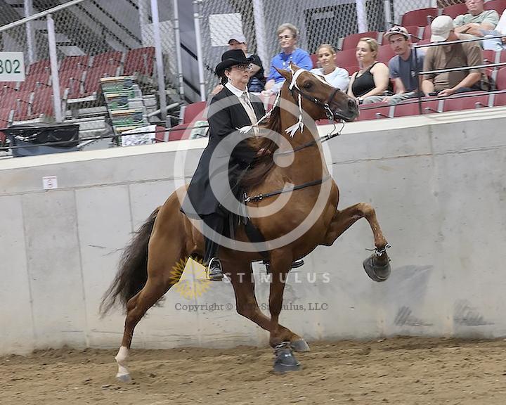 36. Specialty Action Device 2 and 3 Year Old:low-res-copclass31andup-friday-night0001s0000s0000s0007IMG0856.jpg