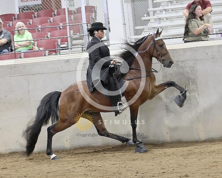 36. Specialty Action Device 2 and 3 Year Old:low-res-copclass31andup-friday-night0001s0000s0000s0009IMG0849.jpg