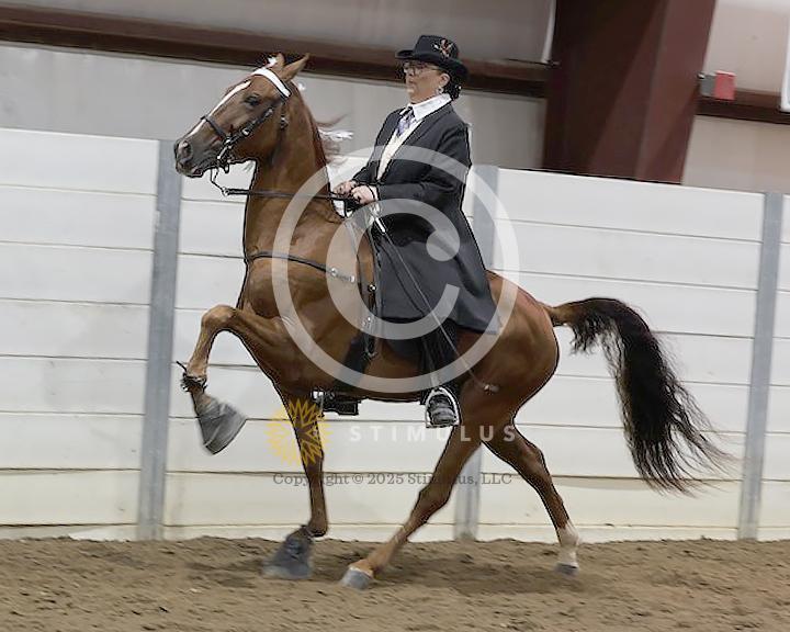 36. Specialty Action Device 2 and 3 Year Old:low-res-copclass31andup-friday-night0001s0000s0000s0010IMG0822.jpg