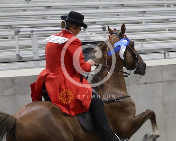 37. Park Performance Walking Amateur